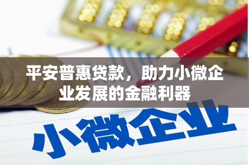 两当平安普惠贷款，助力小微企业发展的金融利器
