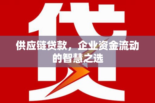 两当供应链贷款，企业资金流动的智慧之选