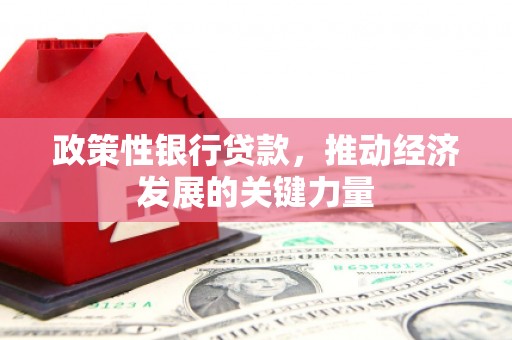 两当政策性银行贷款，推动经济发展的关键力量