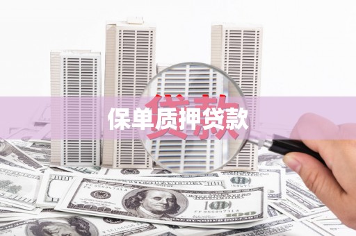 两当保单质押贷款