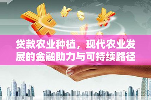 两当贷款农业种植，现代农业发展的金融助力与可持续路径