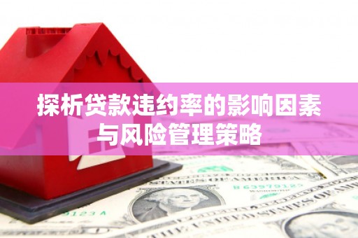 两当探析贷款违约率的影响因素与风险管理策略