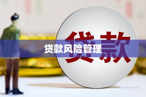 两当贷款风险管理