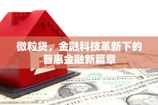两当微粒贷，金融科技革新下的普惠金融新篇章