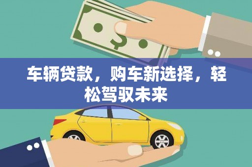 两当车辆贷款，购车新选择，轻松驾驭未来