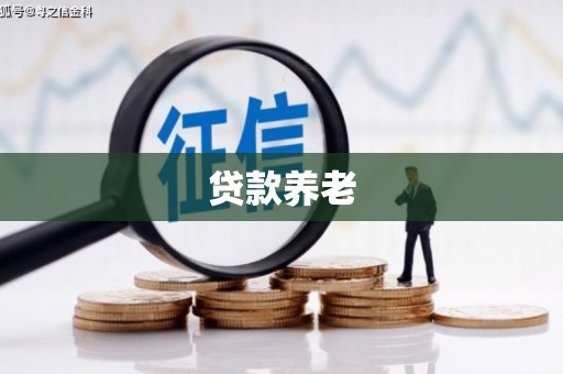 两当贷款养老