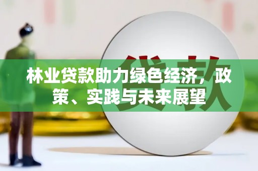 两当林业贷款助力绿色经济，政策、实践与未来展望