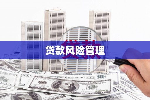 两当贷款风险管理