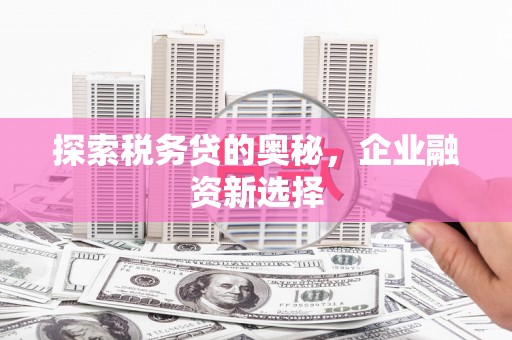 两当探索税务贷的奥秘，企业融资新选择