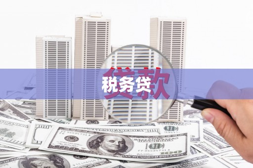 两当税务贷