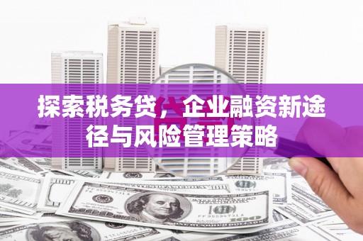 两当探索税务贷，企业融资新途径与风险管理策略