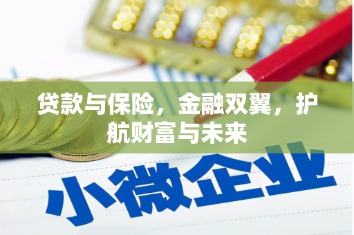 两当贷款与保险，金融双翼，护航财富与未来