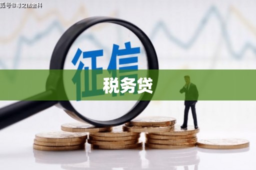 两当税务贷