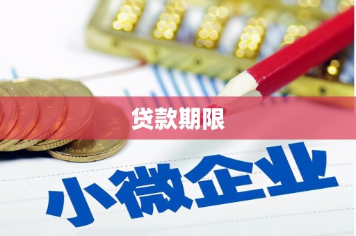 两当贷款期限