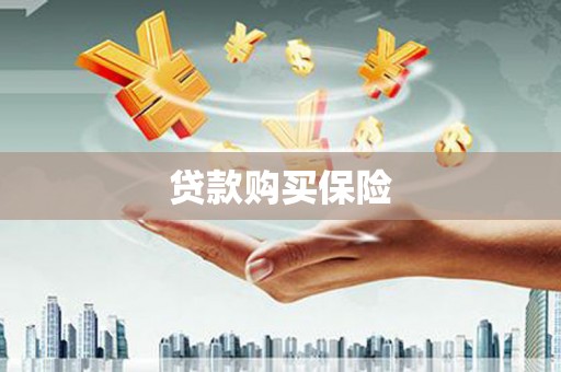 两当贷款购买保险