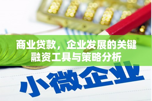 两当商业贷款，企业发展的关键融资工具与策略分析