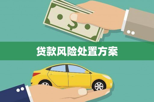 两当贷款风险处置方案