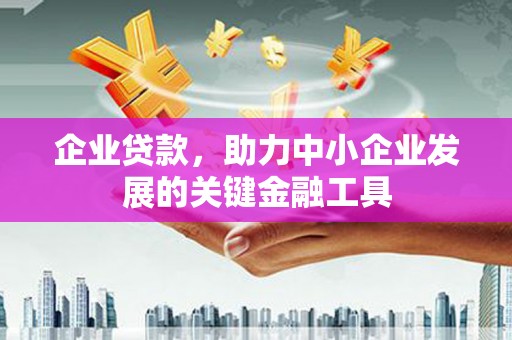 两当企业贷款，助力中小企业发展的关键金融工具