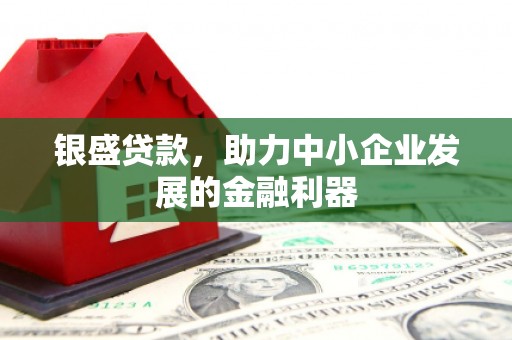 两当银盛贷款，助力中小企业发展的金融利器
