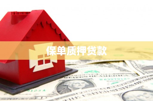 两当保单质押贷款