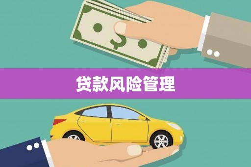 两当贷款风险管理