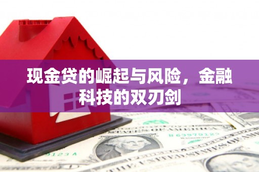 两当现金贷的崛起与风险，金融科技的双刃剑