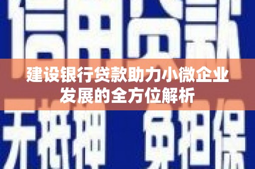 两当建设银行贷款助力小微企业发展的全方位解析