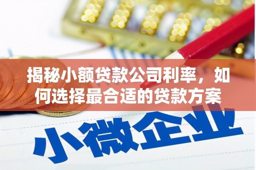 两当揭秘小额贷款公司利率，如何选择最合适的贷款方案