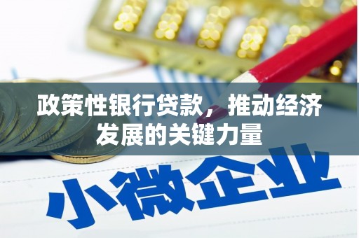 两当政策性银行贷款，推动经济发展的关键力量