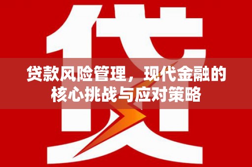 两当贷款风险管理，现代金融的核心挑战与应对策略