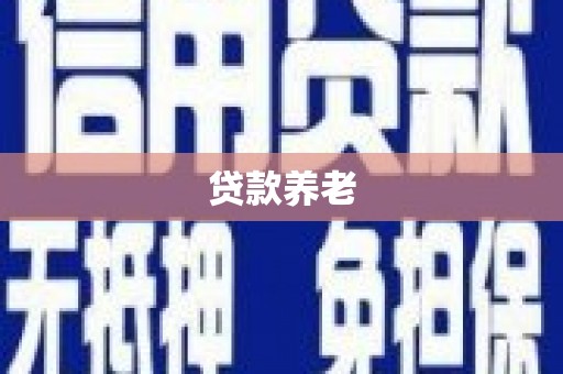 两当贷款养老