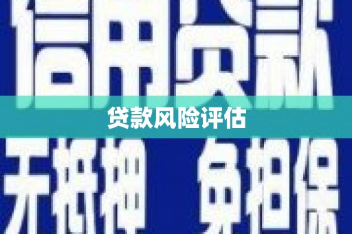 两当贷款风险评估