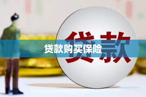 两当贷款购买保险