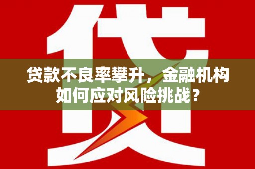 两当贷款不良率攀升，金融机构如何应对风险挑战？