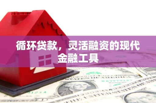 两当循环贷款，灵活融资的现代金融工具